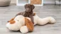 Preview: Ankuschelhund Benny